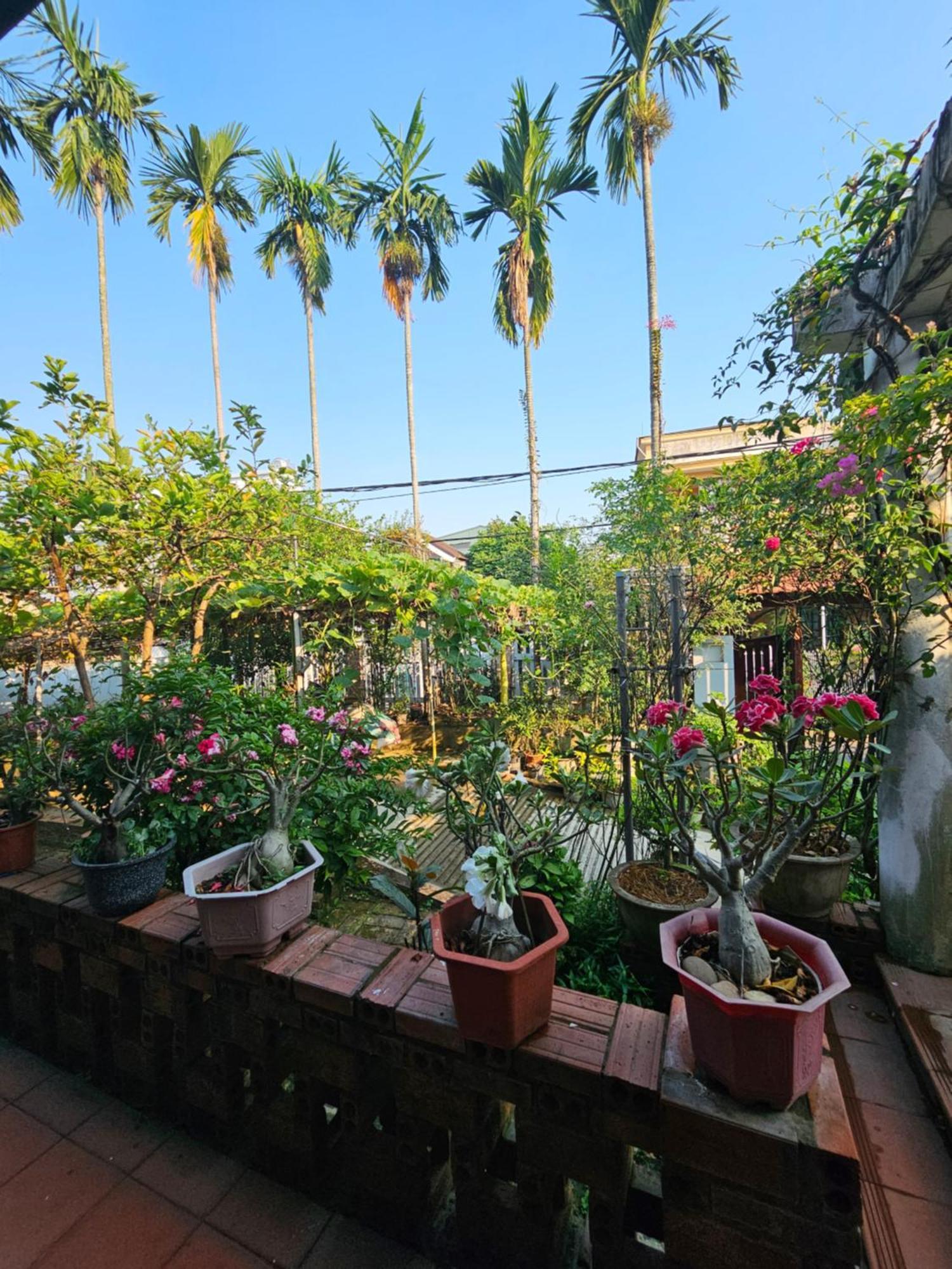 Rose Homestay Hue Thon Kim Long Εξωτερικό φωτογραφία